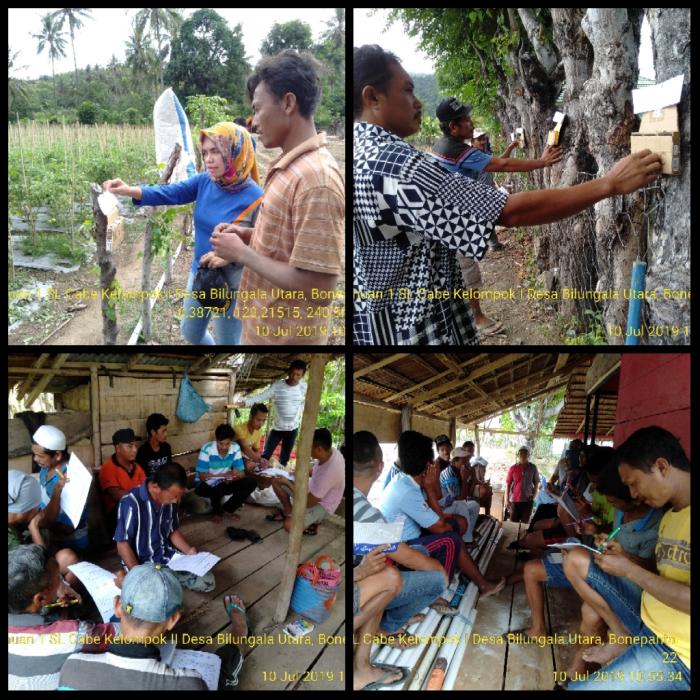 Peran Penyuluh Pertanian Pada Kegiatan Sekolah Lapang Program READSI