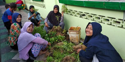 Menghijaukan Lorong Di Pemukiman Padat