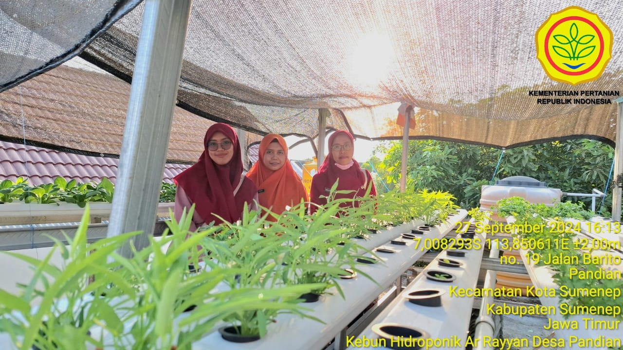 KEBUN HIDROPONIK AR RAYYAN AJAK MASYARAKAT SUMENEP MANFAATKAN URBAN FARMING