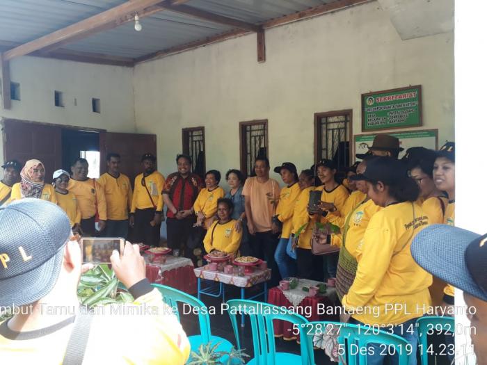 Persemaian Benih Padi Di Kecamatan Cibalong