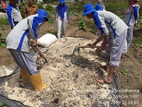 Peningkatan Sdm Petani Melalui Sl Pht Tembakau