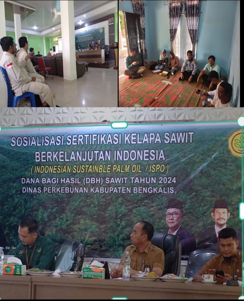 SOSIALISASI SERTIFIKASI KELAPA SAWIT BERKELANJUTAN INDONESIA ( INDONESIAN SUSTAINBLE PALM OIL/ISPO) DINAS PERKEBUNAN KABUPATEN BENGKALIS