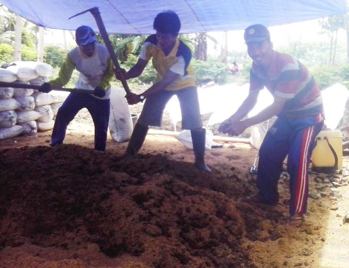 Mengembalikan Kesuburan Lahan