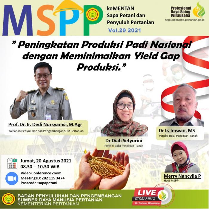 MSPP VOL 29