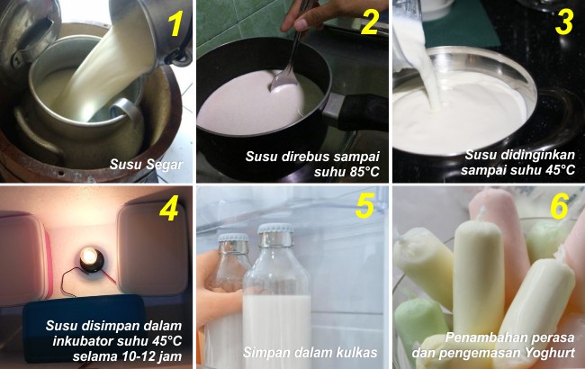 PEMBUATAN YOGHURT SKALA RUMAH TANGGA