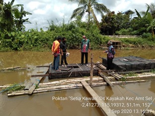 Kegiatan Pertanian Keluarga (PK) Desa Kayakah Kec. Amuntai Selatan Kab. HSU