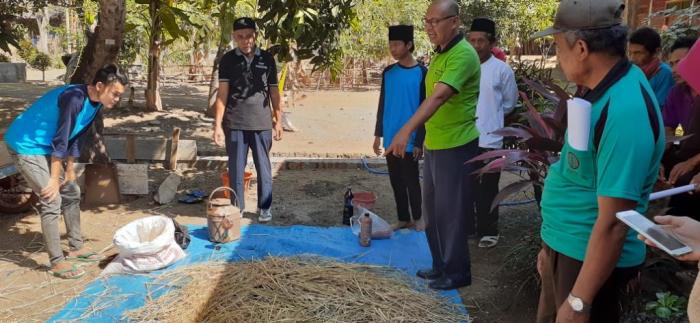 Pakan Ternak Alternatif Tape Jerami