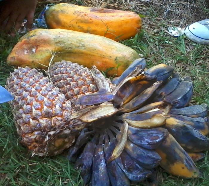 MOL LIMBAH BUAH-BUAHAN