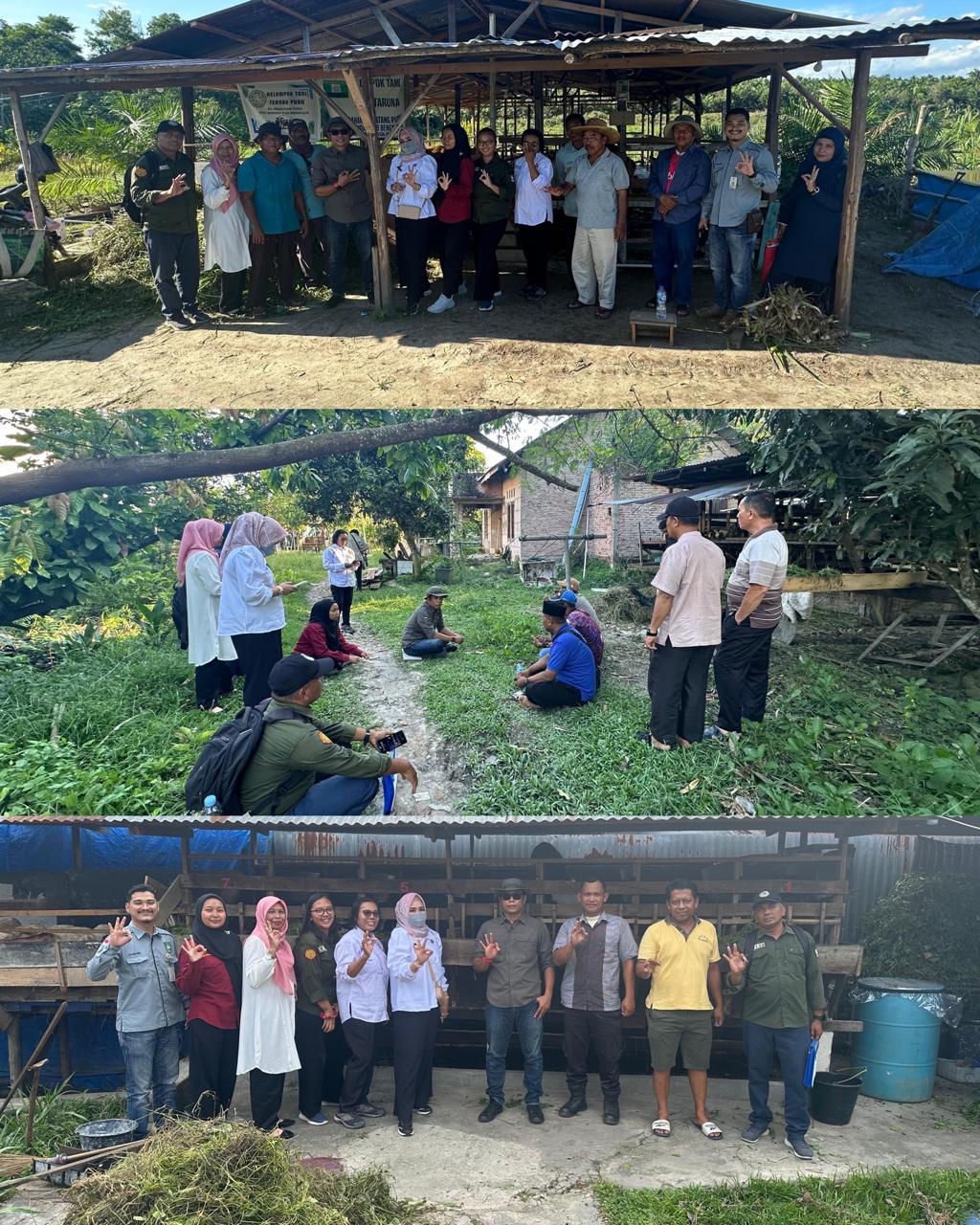 MONITORING BANTUAN TERNAK DI KECAMATAN MANDAU