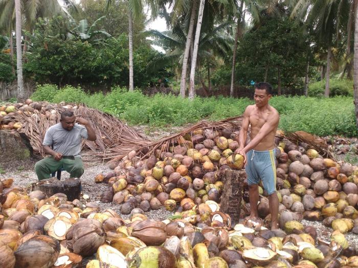 Pengolahan  kelapa dalam