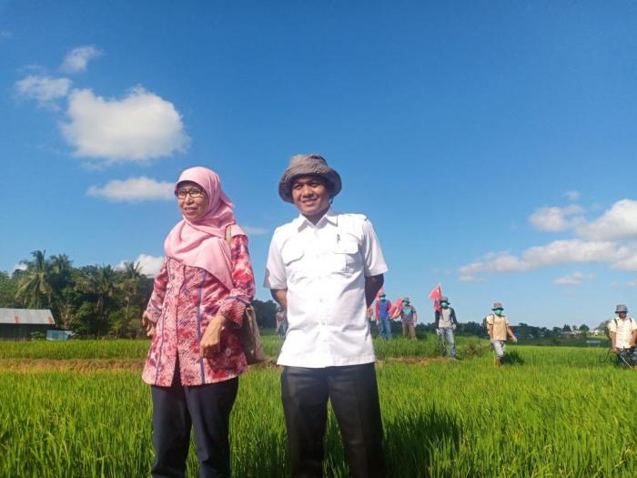 Pengendalian Penyakit Blas Daun (leaf Blast) Pada Tanaman Padi