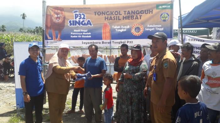 JAGUNG TIGO NAGARI JADI KONSUMEN PANGAN LOKAL PASAMAN 