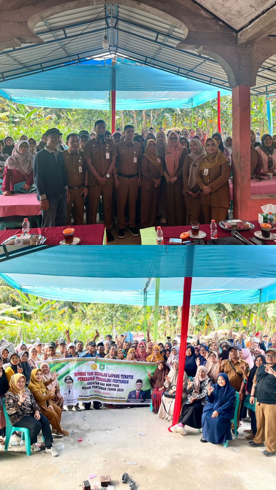 PELAKSANAAN SOSIALISASI DAN REMBUG TANI SEKOLAH LAPANG TEMATIK UPT PENYULUH PERTANIAN KECAMATAN MANDAU TAHUN 2025