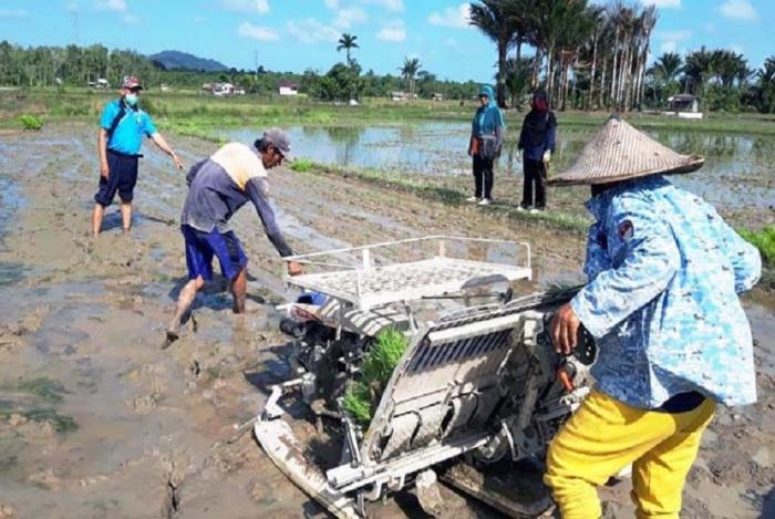 Singkawang Pertahankan IP300 meski Pandemi Covid-19