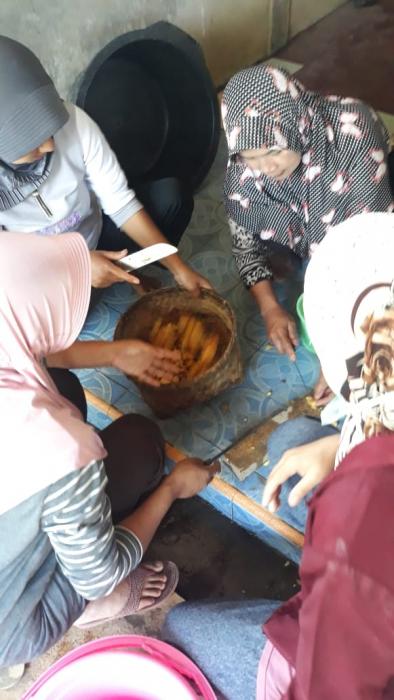 PEMBUATAN MOL JAMBU METE