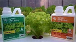 Membuat Nutrisi untuk Tanaman Hidroponik