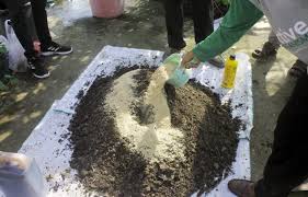 TEKNOLOGI PENGOLAHAN TEPUNG SUKUN 