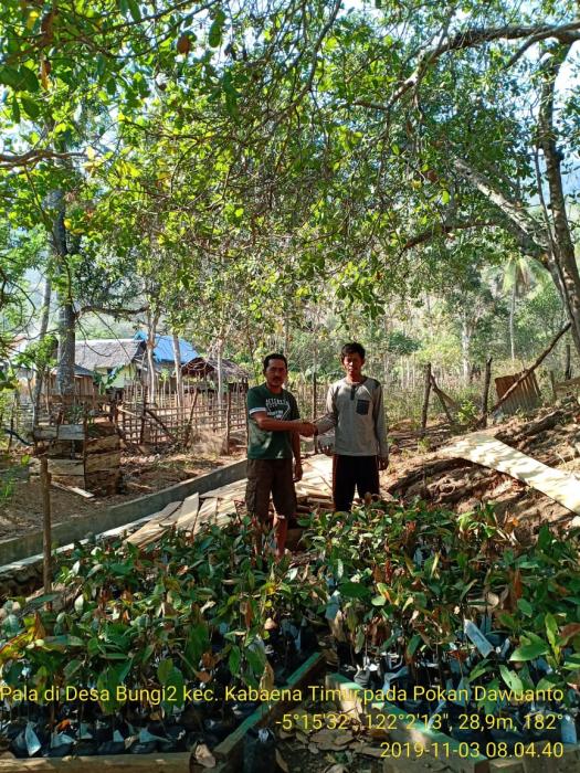 WUJUDKAN SWASEMBADA PANGAN, DINAS PERTANIAN BOMBANA TELORKAN PROGRAM PENGEMBANGAN TANAMAN PALMA