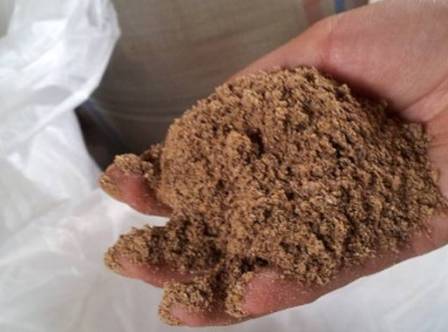 Pembuatan Pakan Konsentrat Untuk Sapi Potong