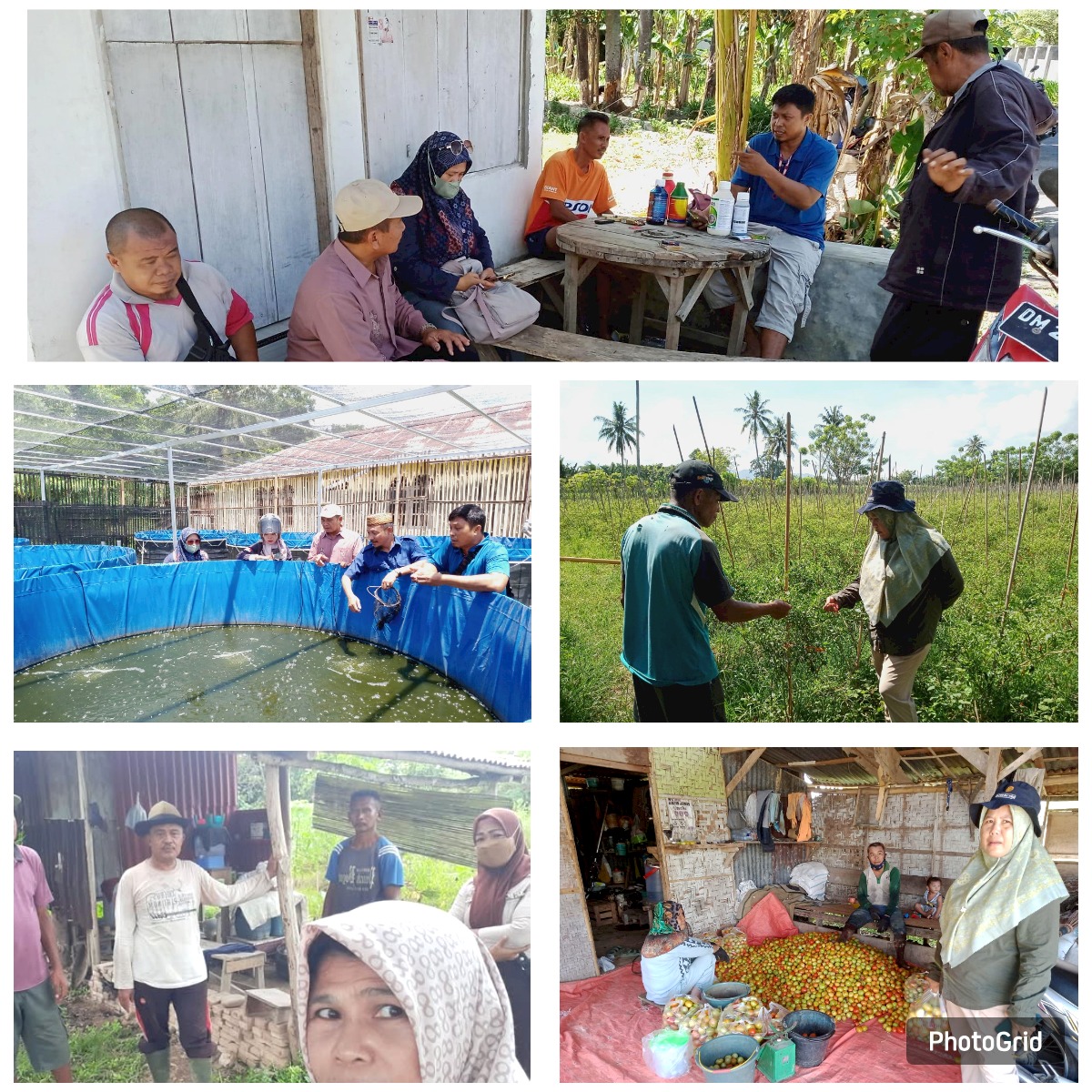 Identifikasi Potensi Wilayah (IPW) Beserta Penyuluhan Kepada Petani