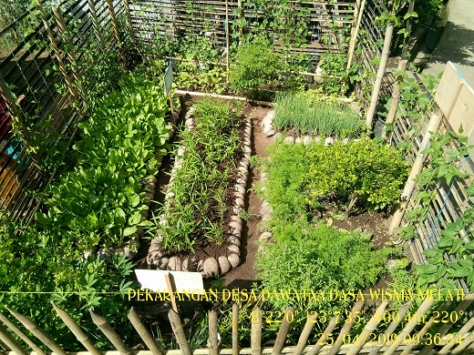 Pemanfaatan Pekarangan