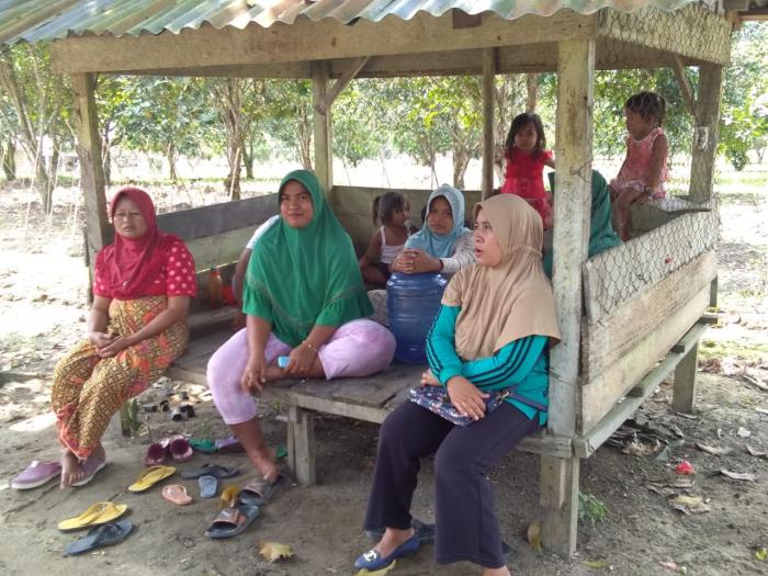 Pembinaan Kelompok Wanita Tani ( Kwt ) Desa Tambak Kecamatan Langgam