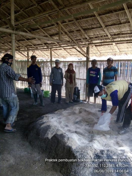 BOKASI KOTORAN KAMBING