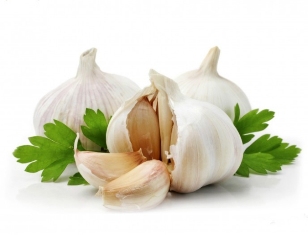 Cara Pembuatan Pestisida Alami Bawang Putih