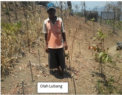 TEKNOLOGI PERTANIAN KONSERVASI GUNA MENGATASI DAMPAK PERUBAHAN IKLIM DI KABUPATEN TIMOR TENGAH UTARA