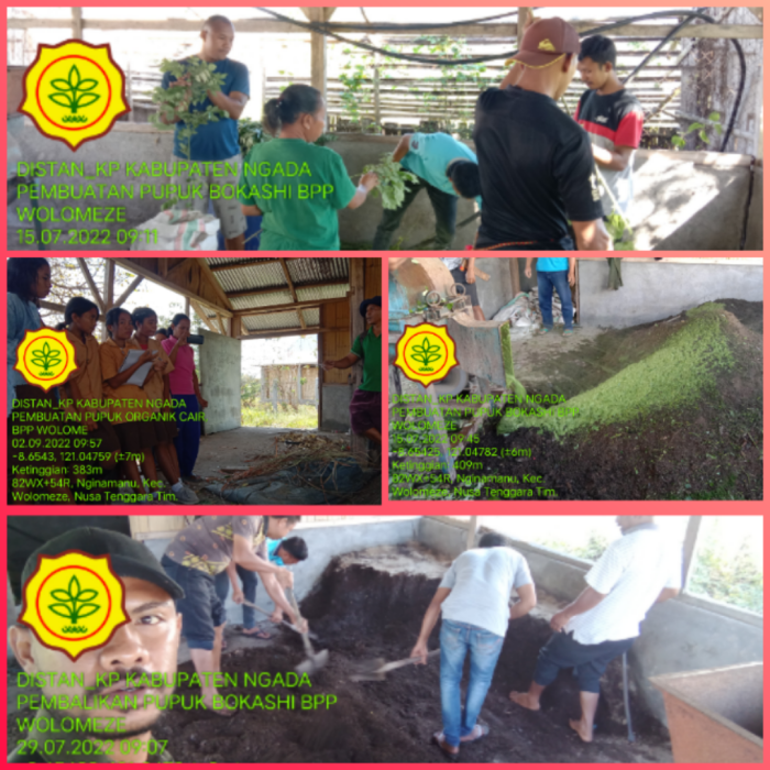 Organic Fertilizer Movement, BPP Kecamatan Wolomeze, Kabupaten Ngada, Provinsi Nusa Tenggara Timur.