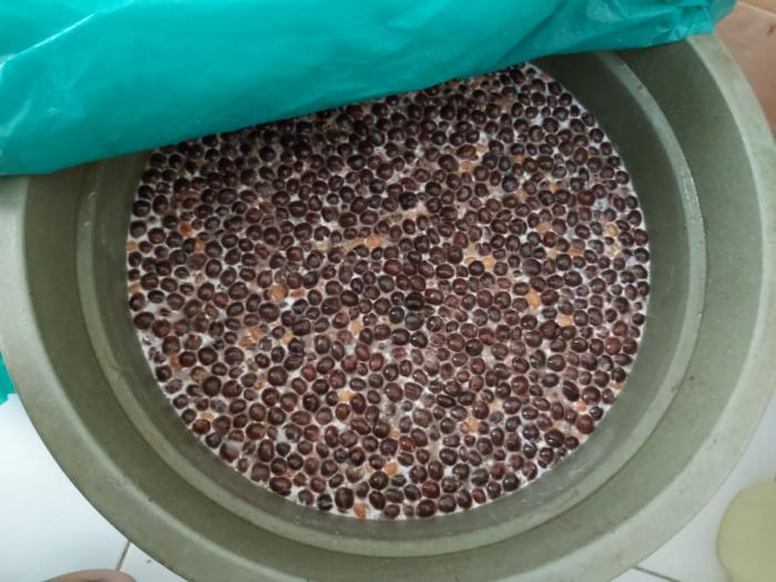 Pupuk Organik Cair Dari Kulit Kopi