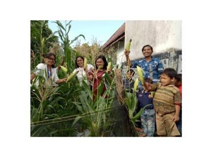 JAGUNG MANIS