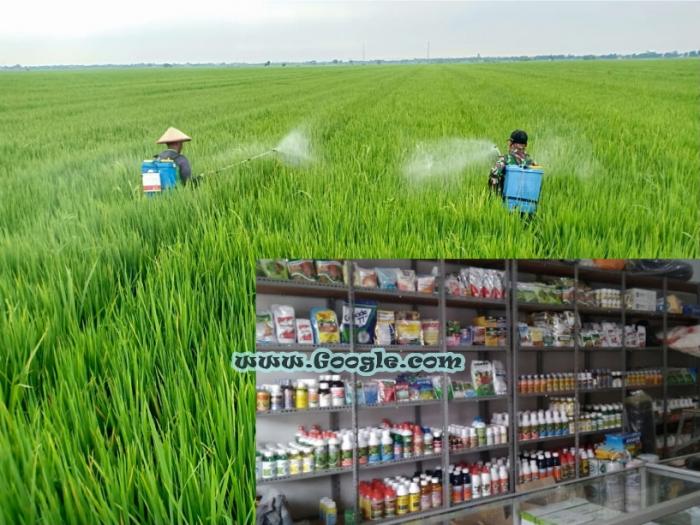 Memahami Cara Kerja Insektisida Dan Fungisida 