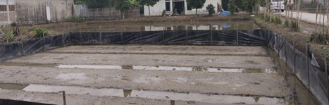 Standar Penyiapan Benih dan Persemaian Tanaman Padi