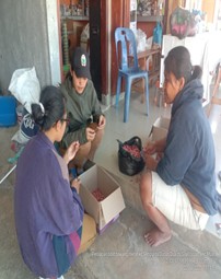 Standar Olah Tanah Pertanian Menggunakan Traktor