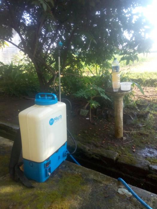 Zpt Menggunakan Air Kelapa