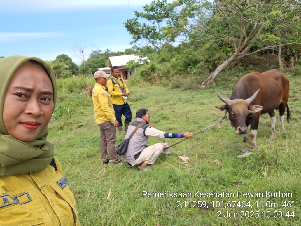 Pemeriksaan terhadapa tiga ekor sapi dan tiga ekor kambing di Desa Teluk Rhu