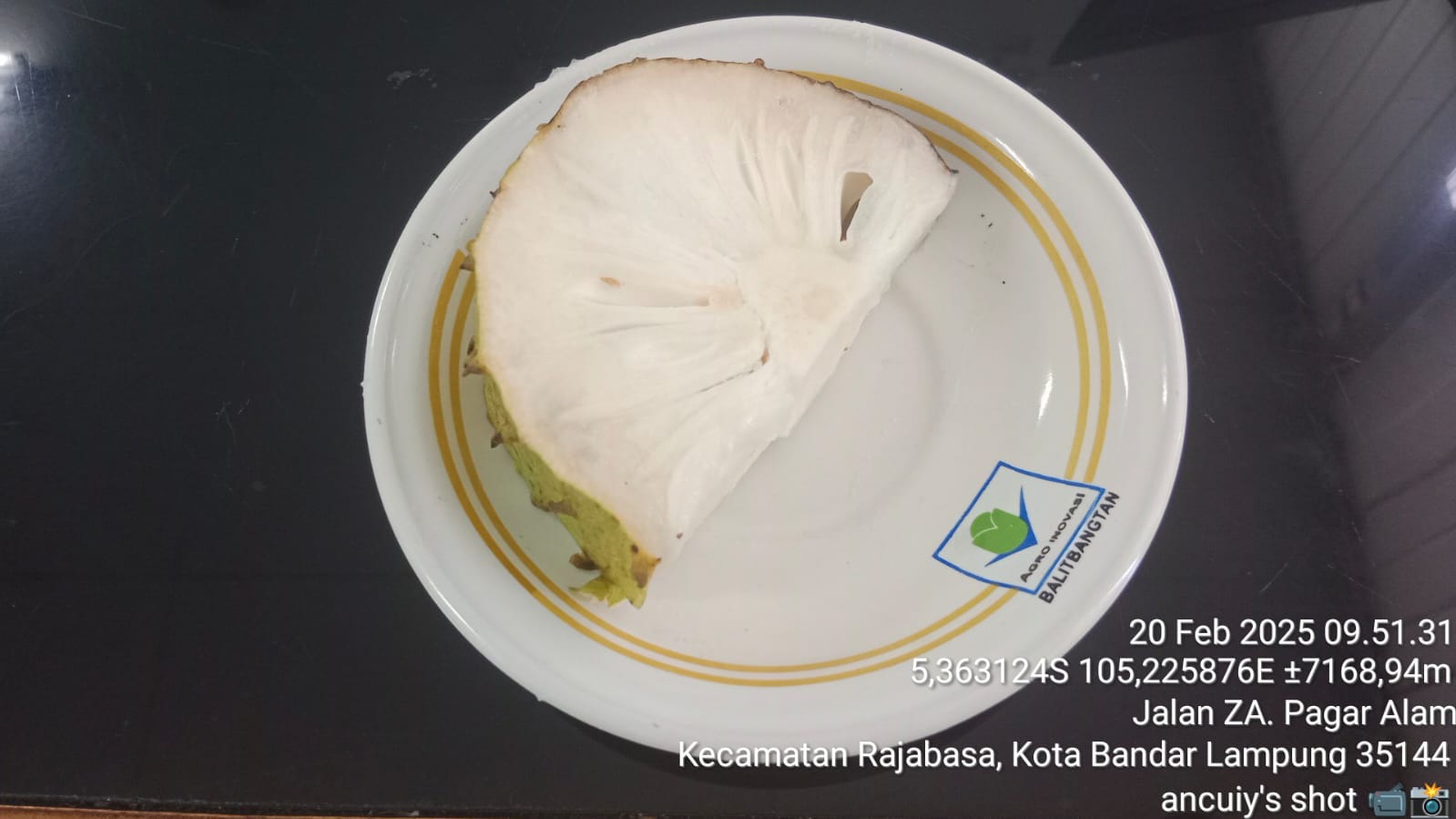 Manfaat Buah Sirsak Bagi Tubuh