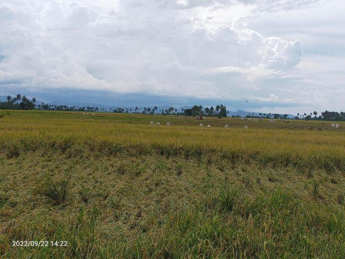 Demfarm Metode Penyuluhan tingkatkan Produktivitas