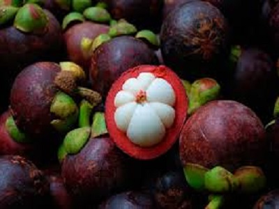 Manfaat Konsumsi Buah Manggis