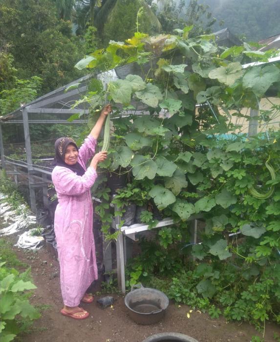 CEGAH CORONA, WARGA AGAM DIAJAK BUPATI TANAM SAYUR DI PEKARANGAN