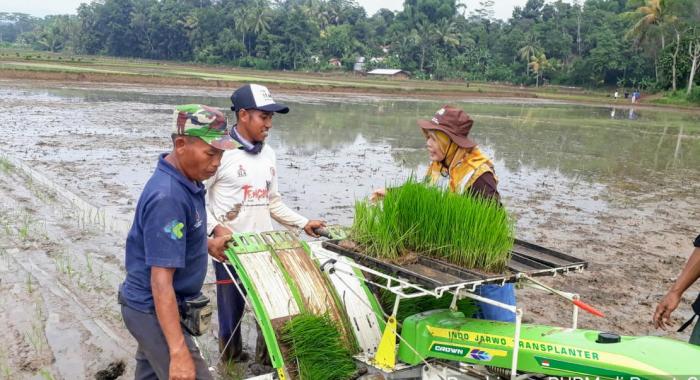 PENDEKATAN DESIMINASI TEKNOLOGI PERTANIAN