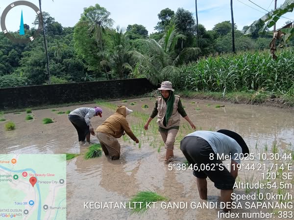 DENGAN LTT DESA SAPANANG SIAP SUKSESKAN PROGRAM SWASEMBADA PANGAN KEMENTERIAN PERTANIAN