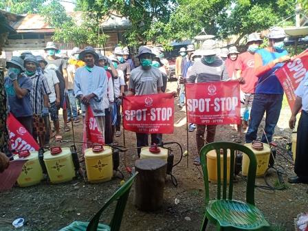 Pengendalian Penyakit Blas Tanaman Padi