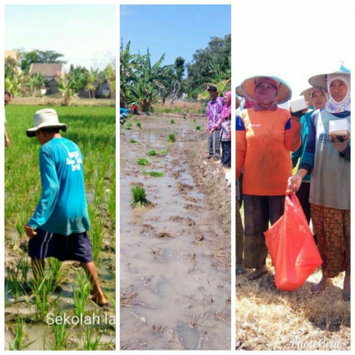 BELAJAR BERSAMA DI SEKOLAH LAPANG