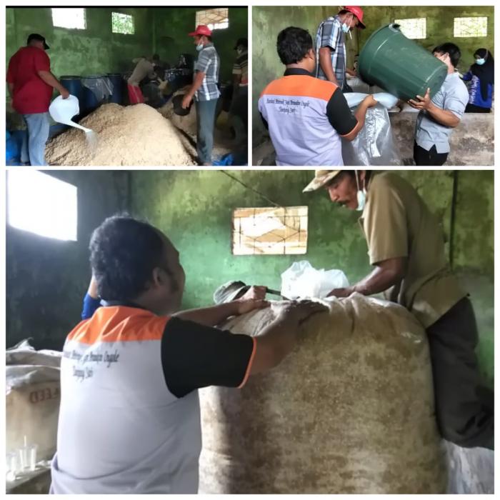 SILASE TONGKOL JAGUNG