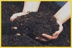 TEKNIK PEMBUATAN PUPUK ORGANIK FINE COMPOST