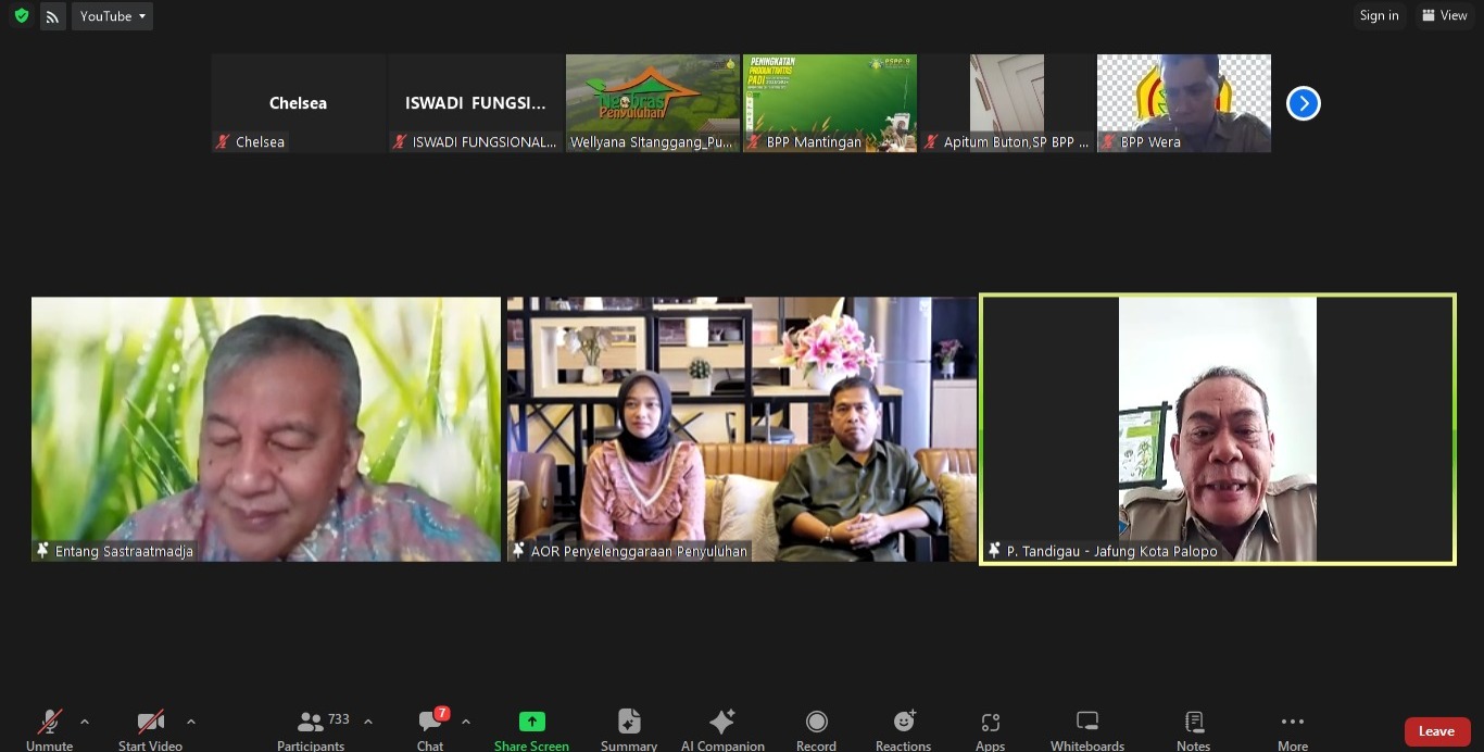 Tingkatan Produksi Pangan, Kementan Fokus Produksi Padi dan Jagung