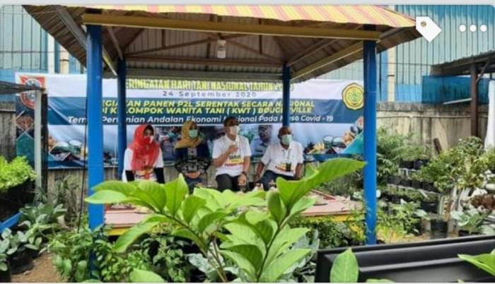 Peringatan Hari Tani Nasional di Bougenville