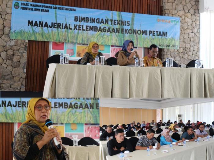 Meningkatkan Kapasitas Teknis dan Manajerial melalui Bimbingan Teknis Kelembagaan Ekonomi Petani